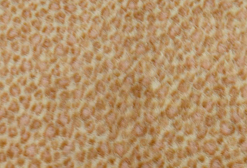 Umělá norková tkanina s leopardím potiskem o šířce 160 mm Umělá norková tkanina s leopardím potiskem o šířce 160 mm